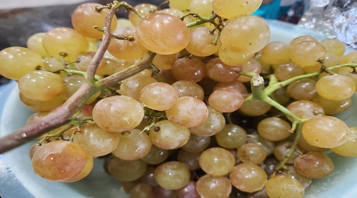 Honey Pearl Grapes