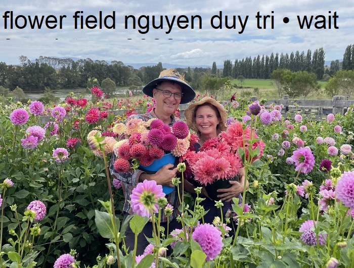 flower field nguyen duy tri • wait for winter • 2022