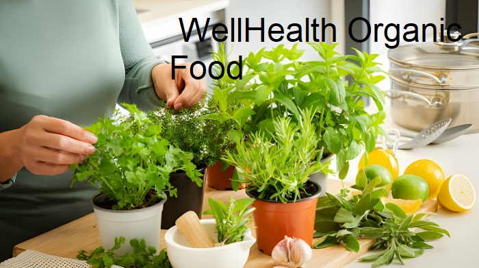 WellHealth Organic Food